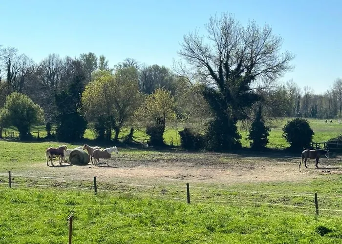 T2 Bis De La Maison Du Haras Apartamento