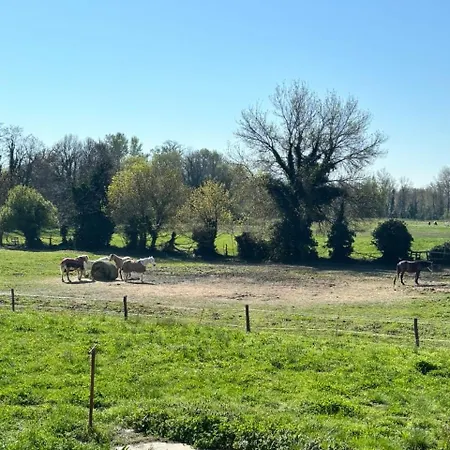 T2 Bis De La Maison Du Haras Lejlighed